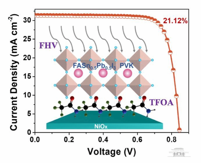 台启东课题组在钙钛矿太阳能电池方面取得最新研究进展