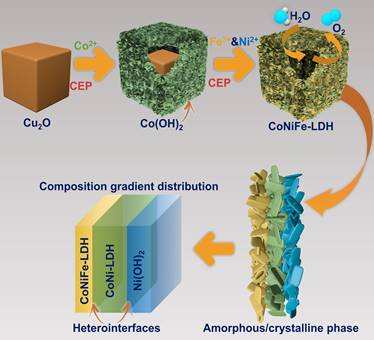 《先进功能材料》发表赵焱教授课题组析氧催化剂研究