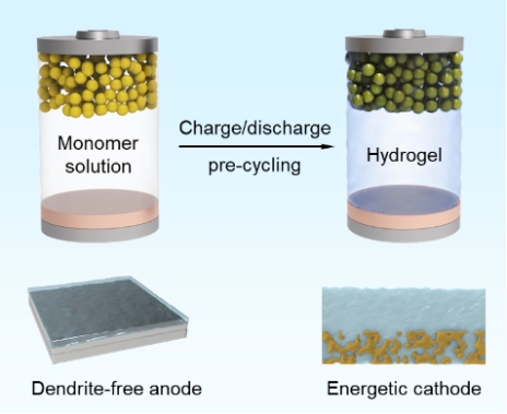 杨培华课题组在聚合物凝胶电解质方面取得新进展