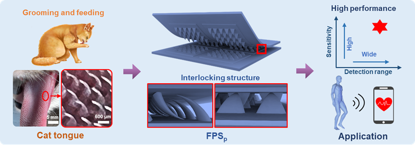 薛龙建教授团队在AFM发表高性能可穿戴压力传感器研究成果